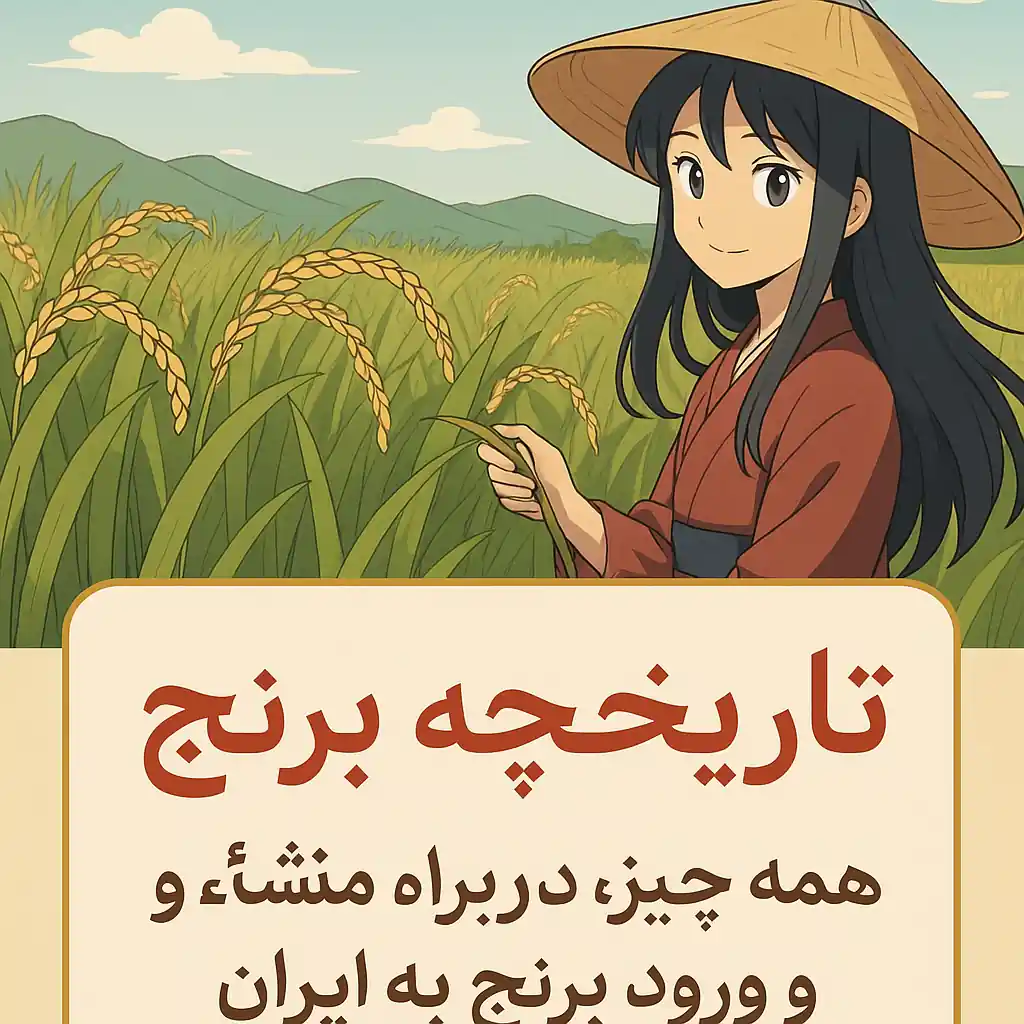 تاریخچه برنج | منشأ برنج و ورود آن به ایران | فروشگاه تقی‌پور